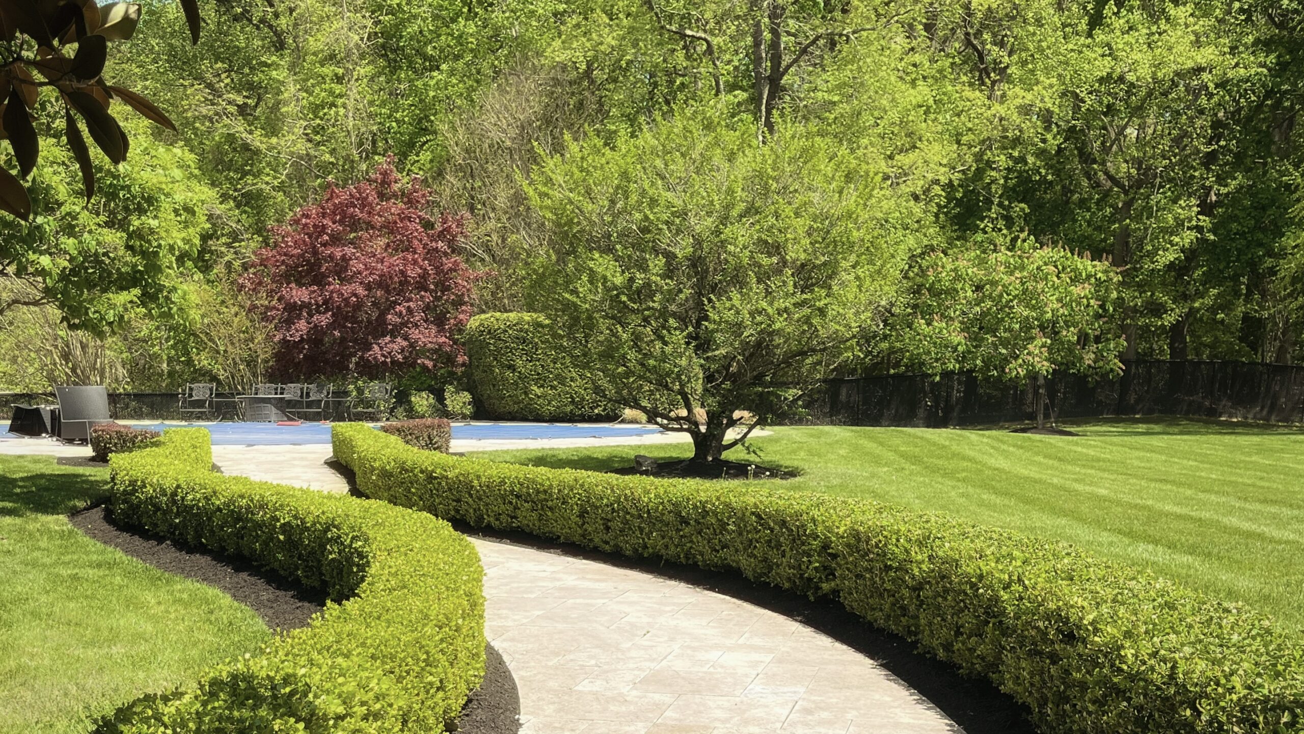 Walkway lined with trimmed hedges and fresh mulch with mature trees in the background.