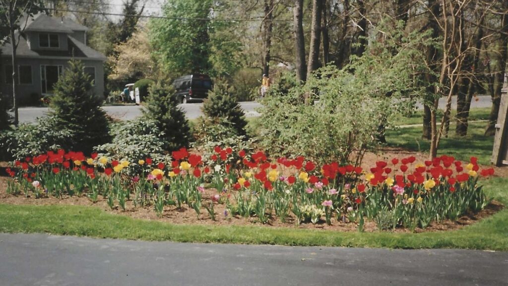 Freshly planted flower bed at a residential property in Middletown, NJ during the early years of Green Horizon Landscape