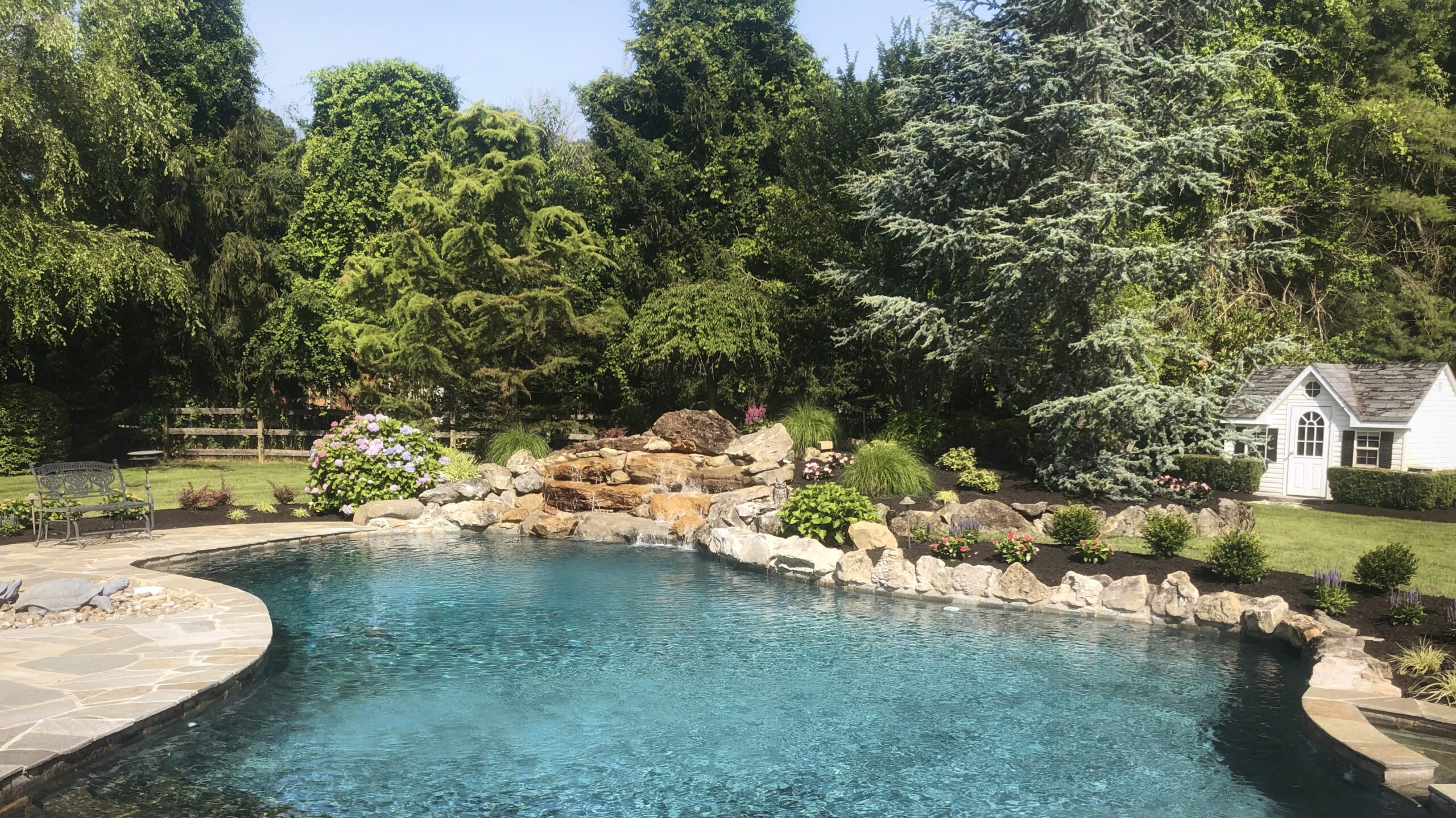 Backyard pool area with landscaped garden beds and maintained lawn.