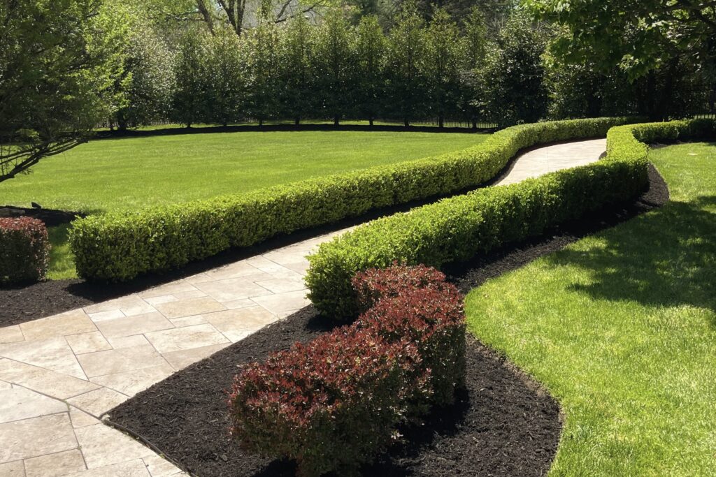 Garden walkway bordered by low hedges leading through backyard landscape