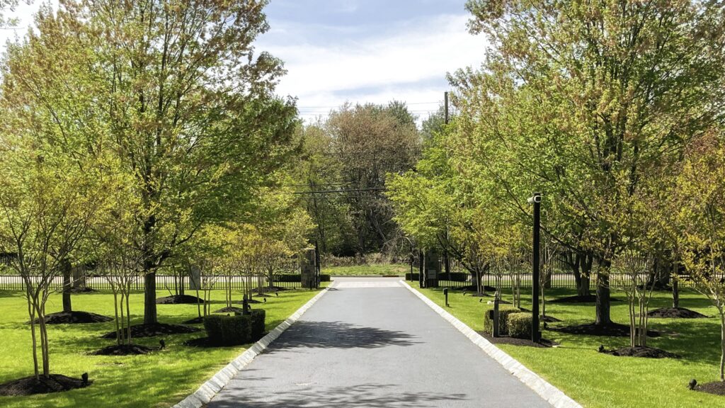 Driveway landscape design with ornamental trees and structured planting beds