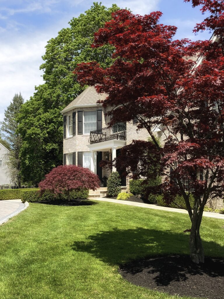 Residential front yard featuring ornamental tree and landscaped lawn