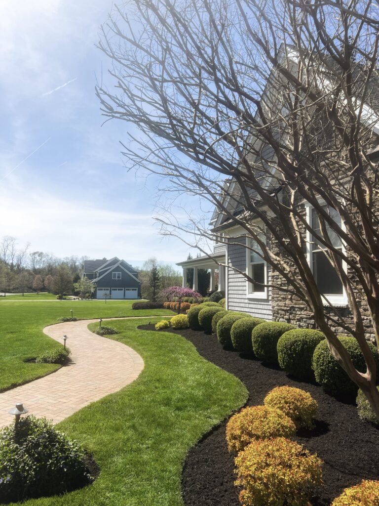Side yard garden design with structured shrubs and mulch beds